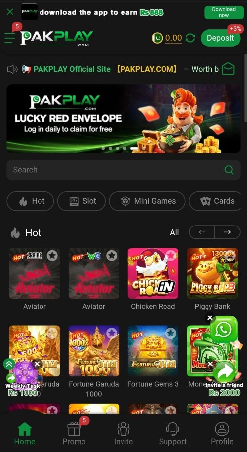 Pak Play Game